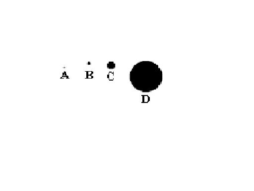 point.jpg